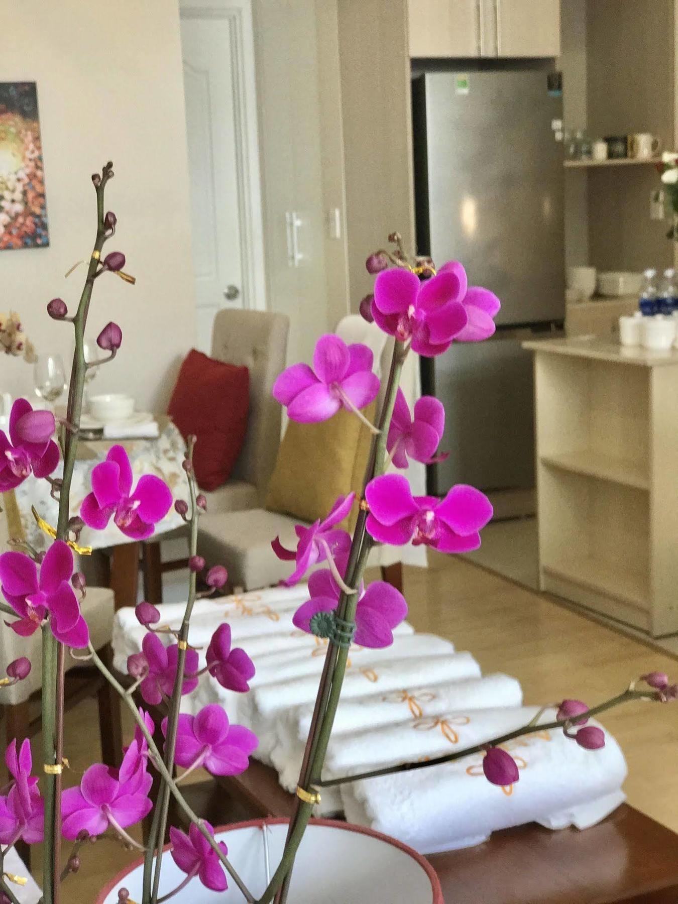 Anada Hotel Suites Đà Lạt Exterior foto
